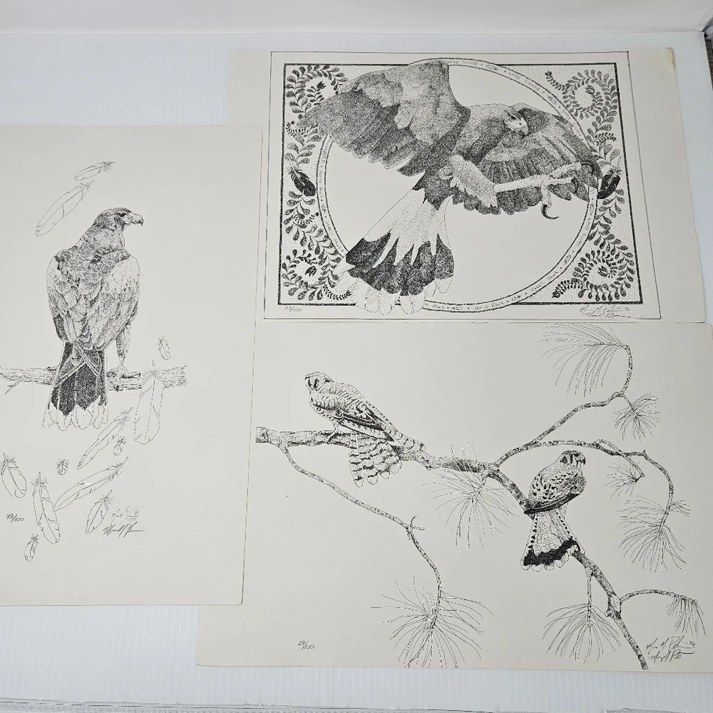 Harris Hawk Bird Art Prints Numbered & Artist Signed Wildlife Set Of 3